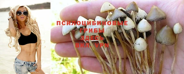 трава Баксан