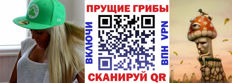 Псилоцибиновые грибы прущие грибы  Новое Девяткино 